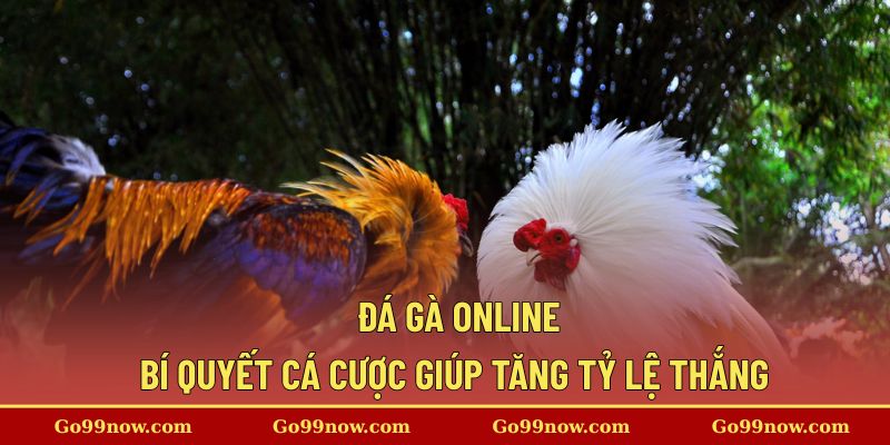 Đá Gà Online