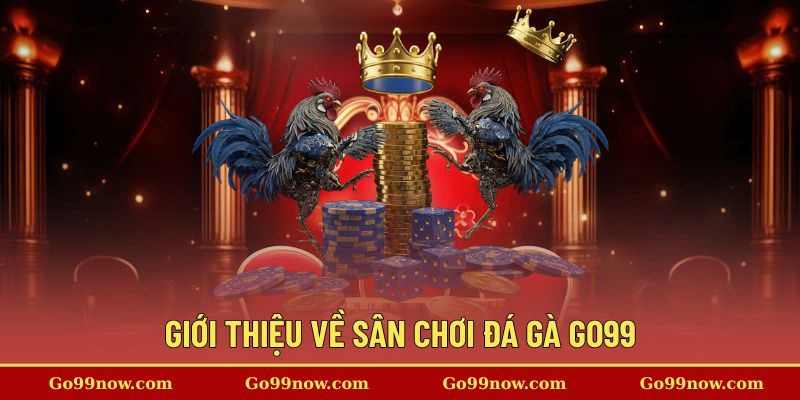 Khám phá về sân chơi đá gà GO99 đỉnh cao